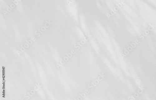 blur of shadow leaf on white wall background
