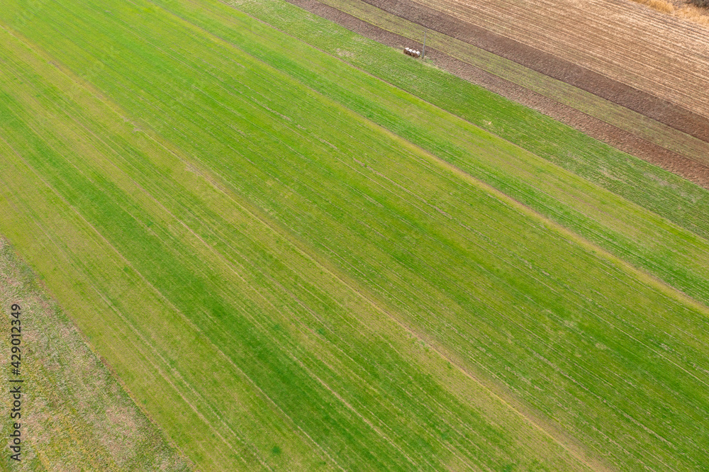 Aerial view about cultivated farm field at countryside, agriculture texture.