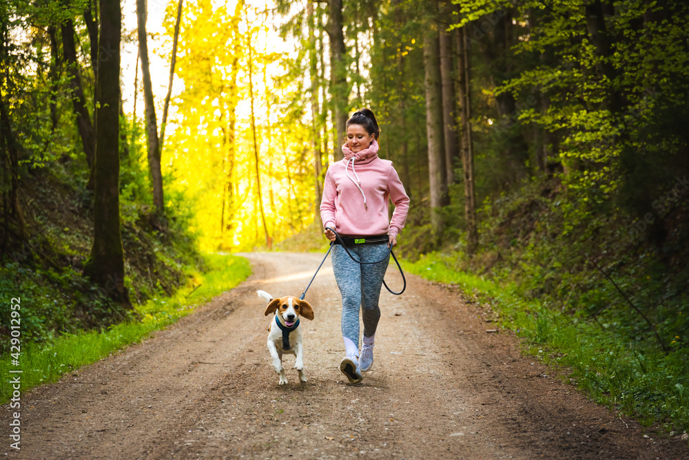 Young woman and dog running together in sunny forest. Young woman and dog running together in sunny forest.