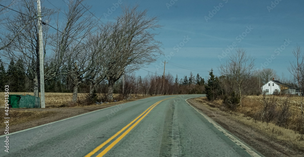 Fototapeta premium road in winter