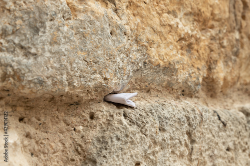 A note  for God sticks out between the stones in the Little Western Wall  in the old city of Jerusalem  in Israel