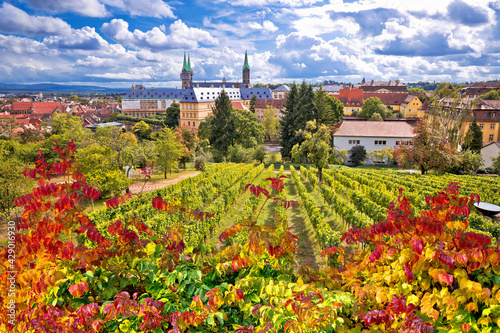 Obraz na płótnie Bamberg. Town of Bamberg view from Michaelsberg vineyards to Bamberger dom square, w salonie