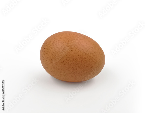 chicken egg isolated on white background vector illustration