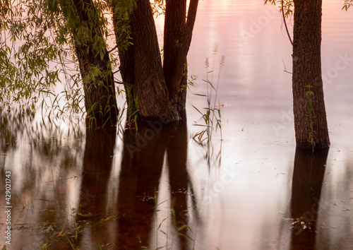 The trees and the sunset are reflected in the water on a summer evening.