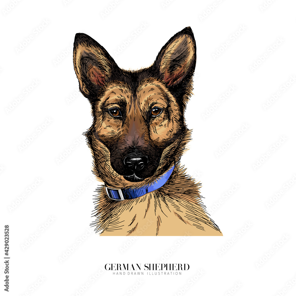 Picture Postcard Dog German Shepherd ×5 