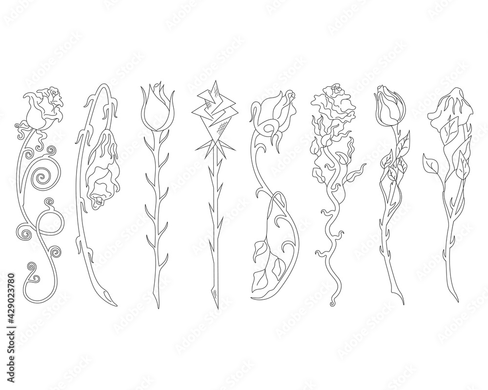 Roses. Collection of isolated rose flower sketch on white background. The continuous line doodled design. Roses. Collection of isolated rose flower sketch on white background. The continuous line doodled design.
