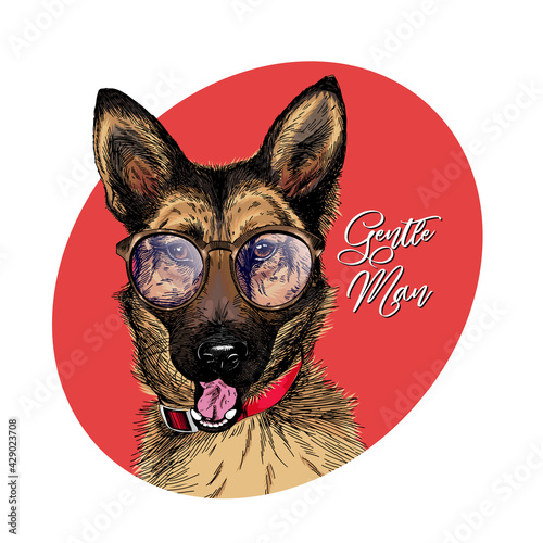 Portrait of hipster german shepherd wearing a glasses and tie bow. Vector engraved detailed dog illustration. Hand drawn. Colored. Clothing print, poster, pet shop flyer, party banner. Be a gentleman.