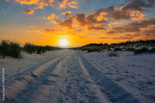 sunset over beach tracks