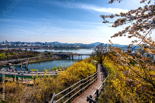 Obraz na płótnie Seoul city in spring South Korea w salonie