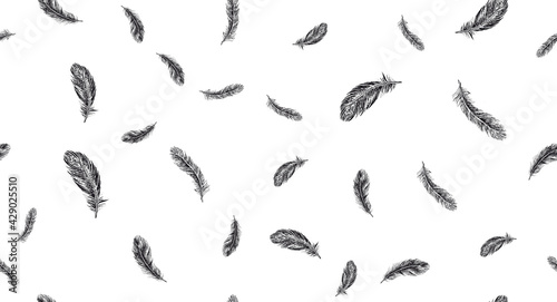 Set of bird feathers. Hand drawn sketch style.   © Aleksandr