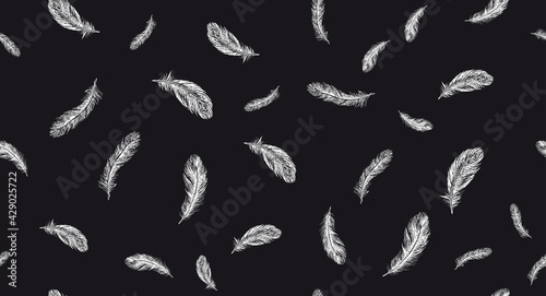 Feathers. Hand drawn sketch illustrations.   © Aleksandr