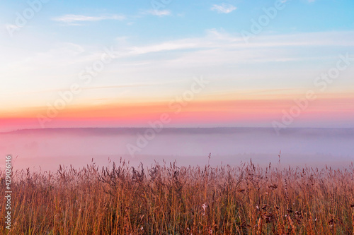 dawn over a foggy field in an early summer morning
