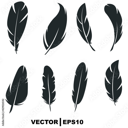 set of feathers on white background.