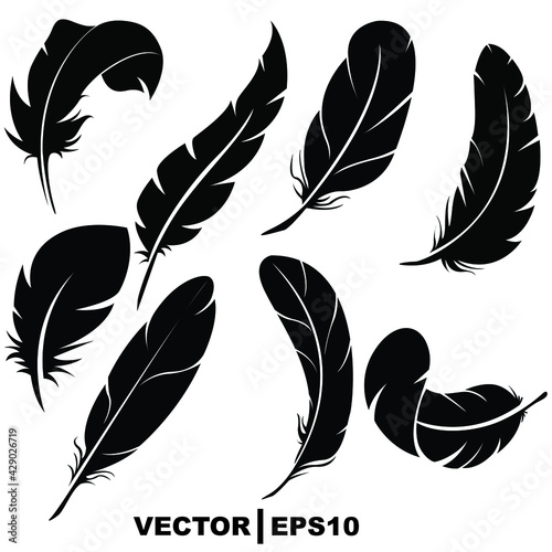set of feathers on white background.