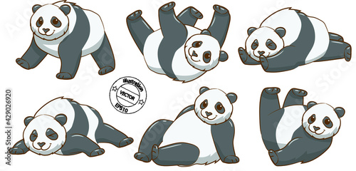 set of panda on white background