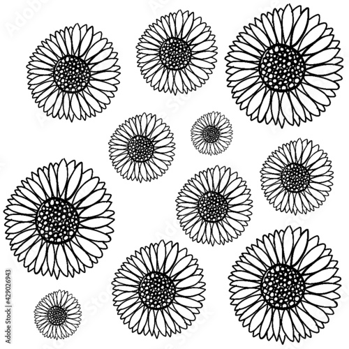 flowers, daisies ,sunflower,flower,flower,flower,flower bed,flower bed,flower bed, flower bed,flower bed,flower bed,flower bed,flower bed,flower bed,flower bed,flower bed, flower bed,flower bed, flowe