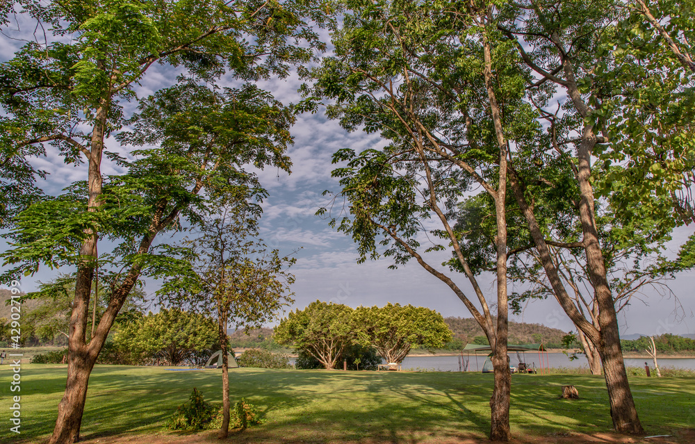 Obraz premium Portrait of landscape of beautiful trees with branches at lake shore with mountain range in background. No focus, specifically.