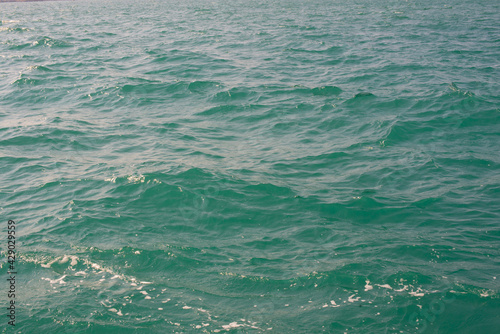 Green sea wave at sunset