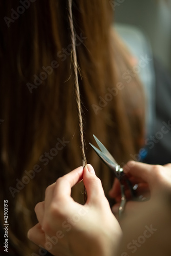 Hands with scissors cut a strand of someone else s brunette hair in beauty salon
