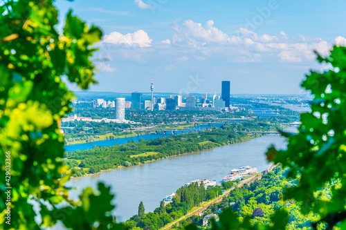 Photography Aerial view of vienna international center through lush vegetation from kahlenbe