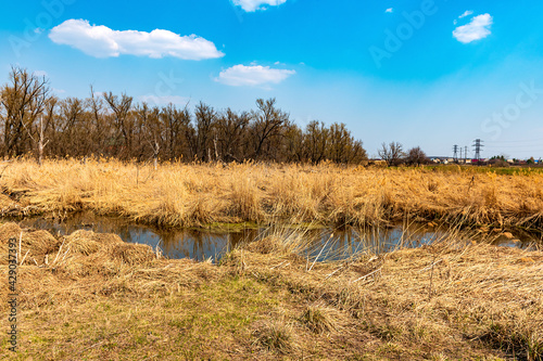 Autumn colors. Blue sky under golden reeds and river photo