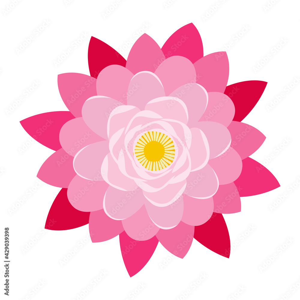 Pink lotus flower isolated vector image. Aquatic Plant. Above view.