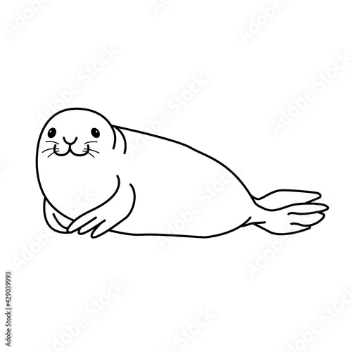 Vector hand drawn outline doodle icon fur seal isolated on white background. Happy seal lying on the beach and smiling. Ocean animal illustration.