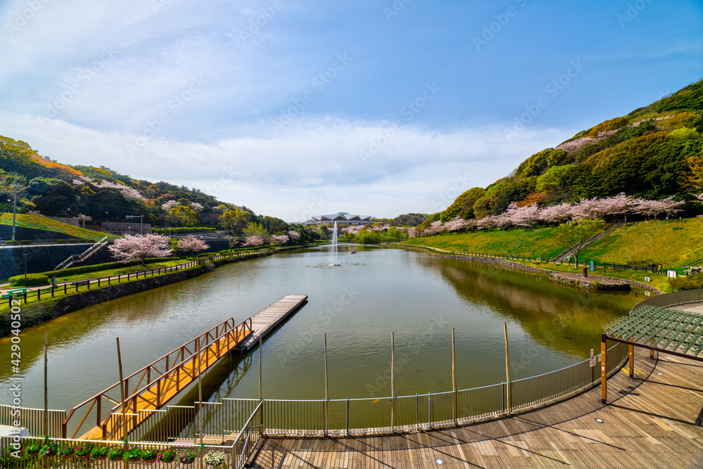 Φωτογραφία 北九州のオアシス　春の福岡県営中央公園