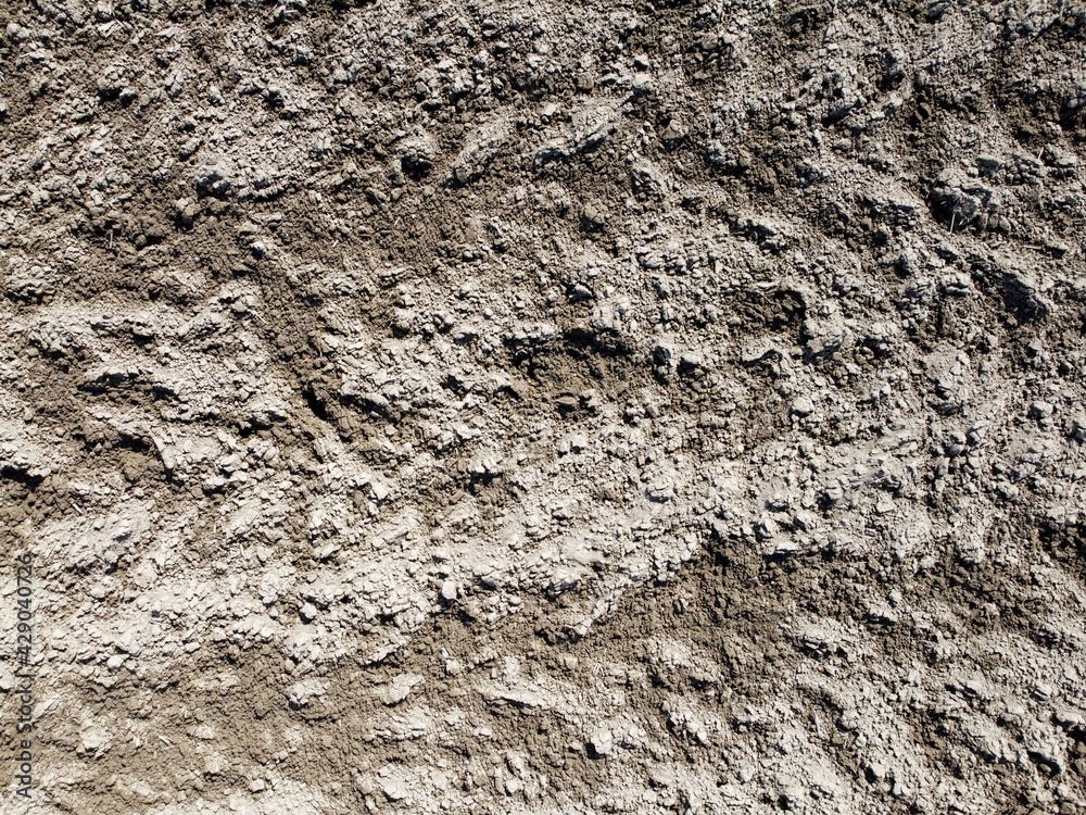Organic and mineral structure of plants and soil containing humus in detail Organic and mineral structure of plants and soil containing humus in detail