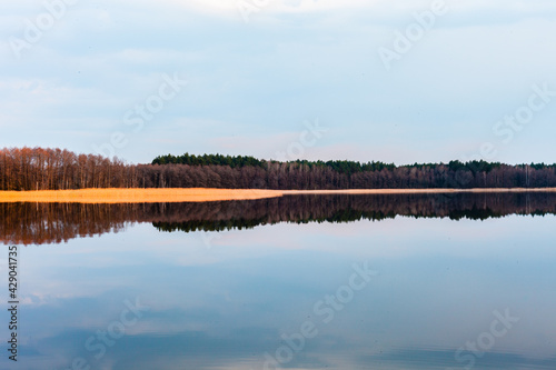 Widok na las odbity w spokojnym cichym jeziorze 