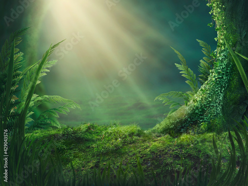 Magic forest background photo