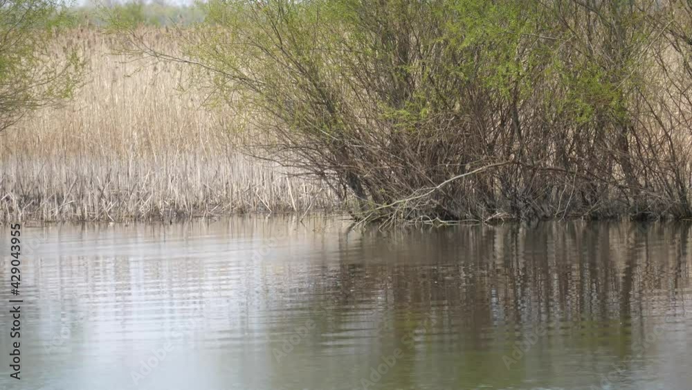 Landscape in the Danube Delta with river, clouds and reed Landscape in the Danube Delta with river, clouds and reed