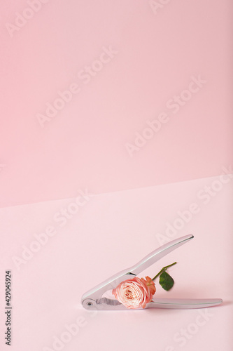 Creative layout with pink beautiful rose flower and nutcracker over pink background. photo