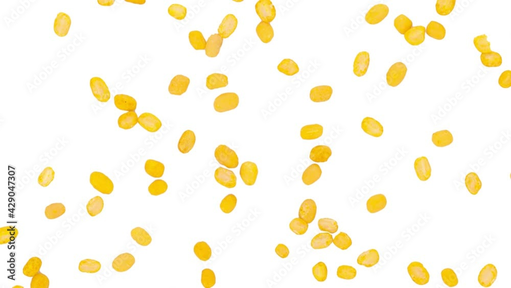 peeled split mung bean on white background.4k footage peeled split mung bean on white background.4k footage