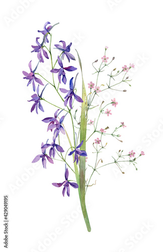 Watercolor wild pink and blue flowers on white background