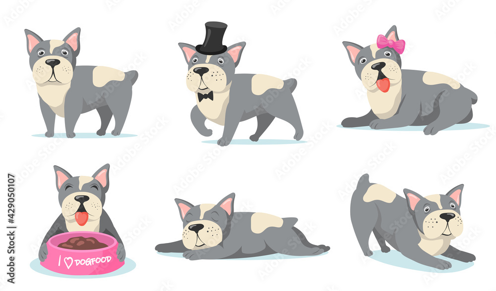 Cute little French bulldog flat pictures for web design. Cartoon funny puppy standing, sleeping, eating, lying isolated vector illustrations. Domestic animals and pets concept