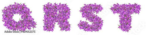 Letters Q, R, S, T from lilac violets