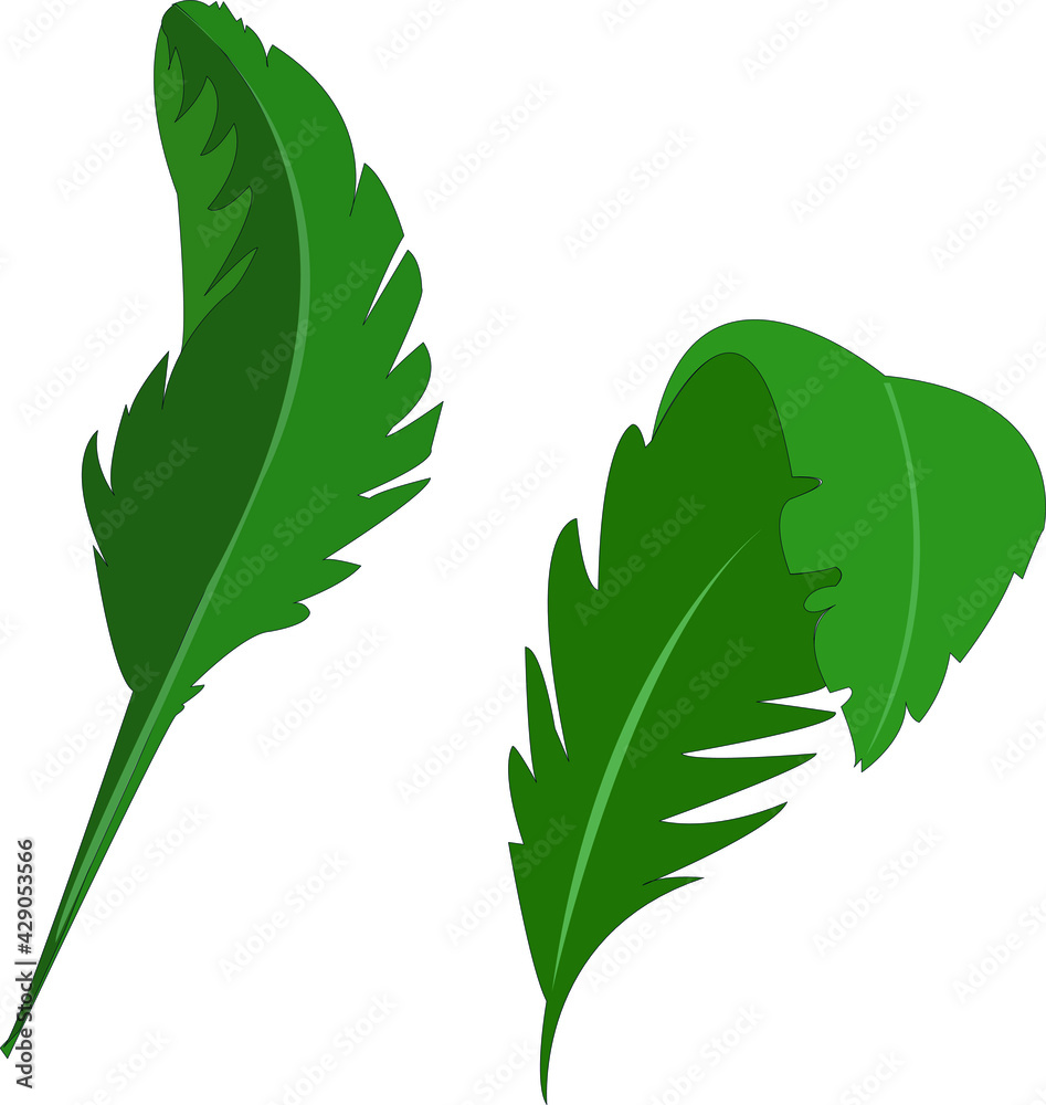 Vector hand painted nature graphic illustration with green contour tropical palm leaves set on the transparent background for design elements