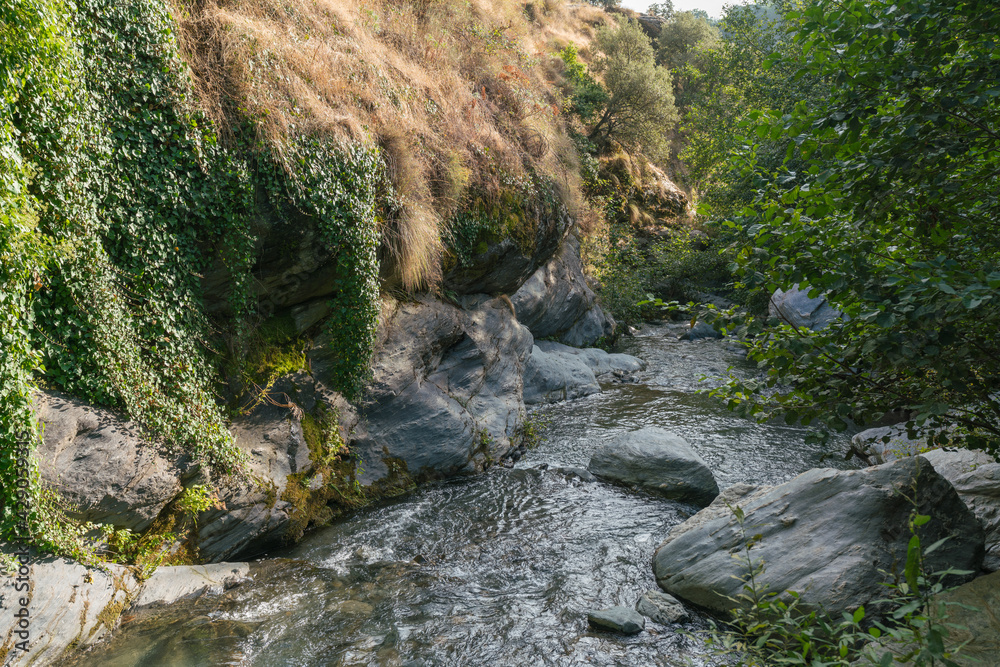 Fototapeta premium Sierra Nevada river in southern Spain