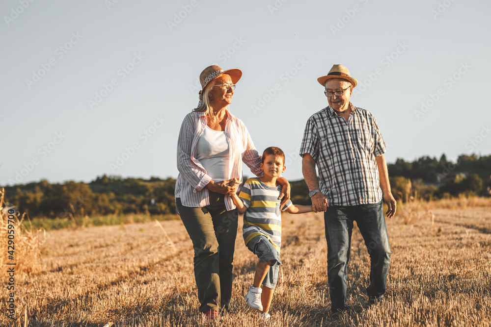 Grandparents with they grandson.They playing on meadow and joying in sunset.	
