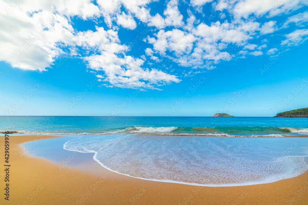 Fototapeta premium Turquoise sea and golden sand in beautiful La Perle beach