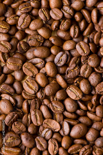 Coffee beans Focused photo of a large number of coffee beans  Coffee beans for sale and use to make coffee drink