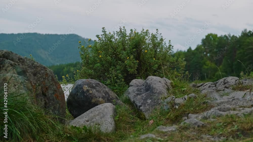 Mountain landscape by the river. River stones in the grass. Smooth camera movement. Mountain landscape by the river. River stones in the grass. Smooth camera movement.