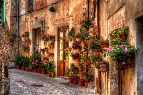 From Valldemossa, Majorca photo