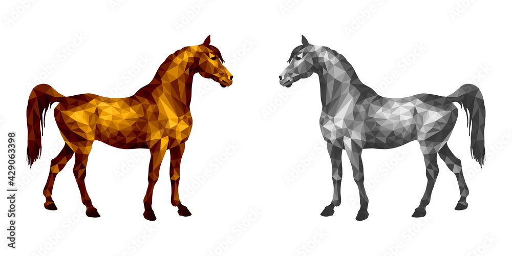 two horses stand opposite each other, isolated image on a white
