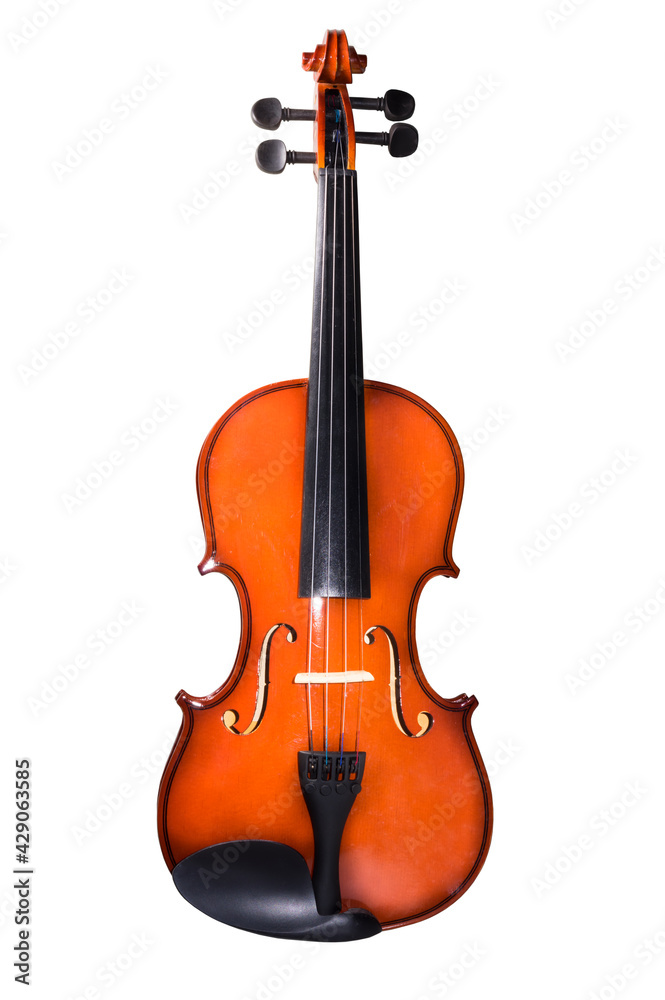 Obraz premium violin isolated on white