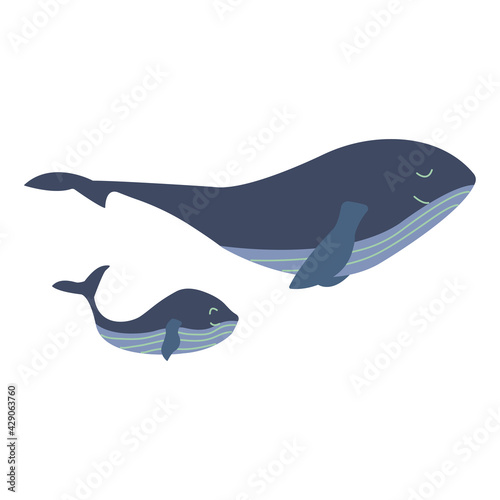 Mother blue whale with a small child swim calmly and happily. Mothers Day. Colorful vector isolated illustration hand drawn. Wildlife, mammal from ocean, family
