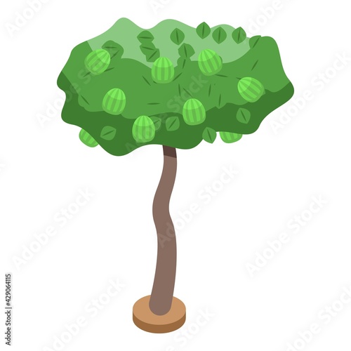 Berry fruit tree icon. Isometric of Berry fruit tree vector icon for web design isolated on white background