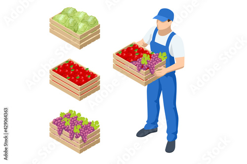 Isometric farmer holding a box with apples and grapes. Farmer with freshly harvested apples in wooden box. Agriculture and gardening concept