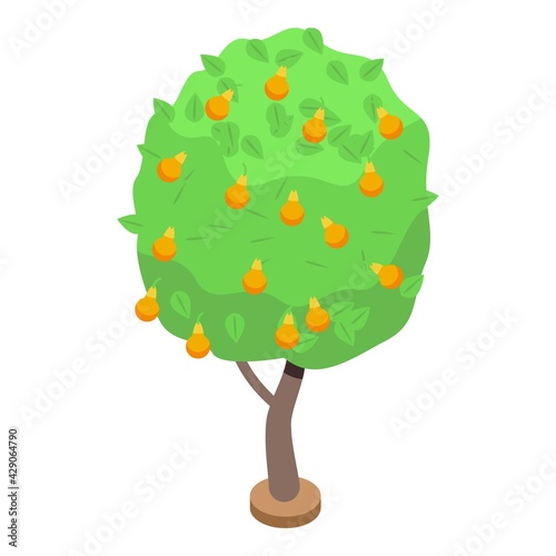 Yellow pear fruit tree icon. Isometric of Yellow pear fruit tree vector icon for web design isolated on white background